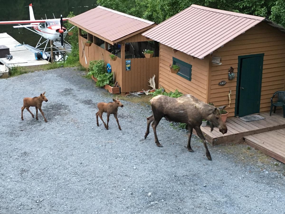 Bear Lake Lodgings B&B Seward Exterior photo